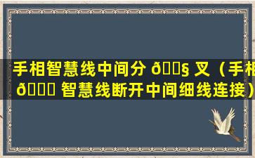 手相智慧线中间分 🐧 叉（手相 🐟 智慧线断开中间细线连接）